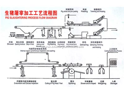 广发·体育